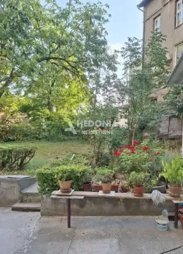 Zeleno dvorište ispred zgrade sa saksijama i rastinjem. - image 10