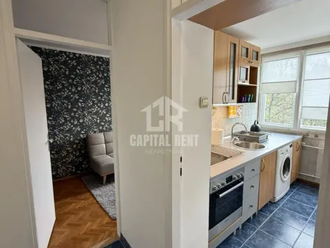 Izdavanje, dvosoban stan, 50m², Šumice, Beograd - image 10