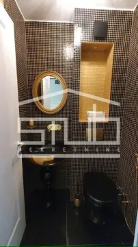 Izdavanje, kuća, 490m², Banovo Brdo, Beograd - image 11