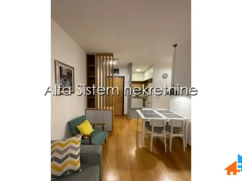 Izdavanje, dvosoban stan, 39m², Vračar Sve Podlokacije, Beograd - image 3