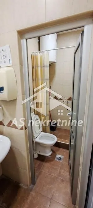 Izdavanje, kuća, 500m², Profesorska Kolonija, Palilula Sve Podlokacije