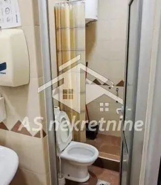 Izdavanje, kuća, 500m², Profesorska Kolonija, Palilula Sve Podlokacije - image 34