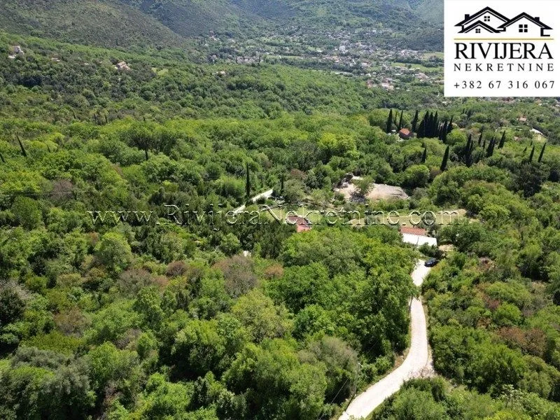 Prodaja, plac, 13123m², Sasovići, Herceg Novi