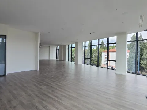 Sale, office space, 2542m², Centar, Podgorica - image 17