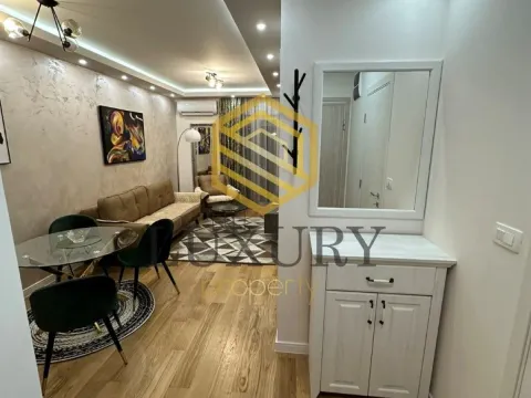 Izdavanje, jednosoban stan, 45m², Central Point, Podgorica - image 9