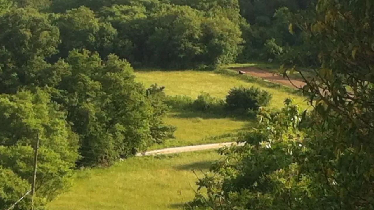 Prodaja, plac, 78000m², Herceg Novi, Crna Gora