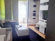 Izdavanje, stan, 47m², Novi Beograd Blok 67, Novi Beograd Sve Podlokacije - image 1