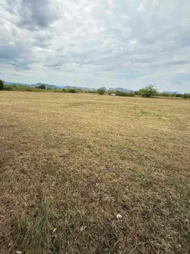 Prodaja, plac, 4929m², Golubovci, Podgorica - image 3