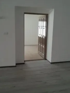 Izdavanje, kuća, 590m², Zemun Sve Podlokacije, Beograd - image 11