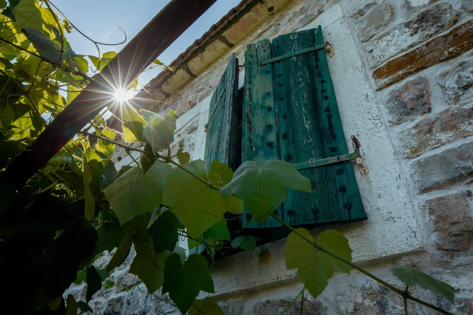 Prodaja, plac, 2122m², Herceg Novi, Crna Gora
