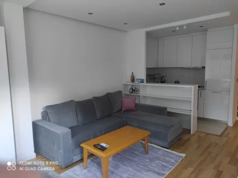 Rent, one bedroom apartment, 42m², Gorica C, Podgorica - image 3