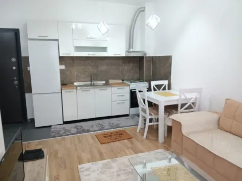 Izdavanje, jednosoban stan, 35m², Zabjelo, Podgorica - image 13