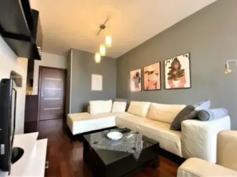 Izdavanje, jednosoban stan, 50m², Preko Morače, Podgorica - image 6