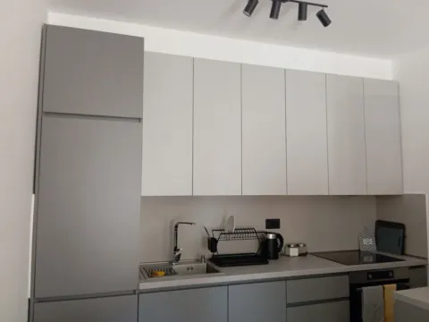 Izdavanje, jednosoban stan, 50m², Centar, Cetinje - image 2