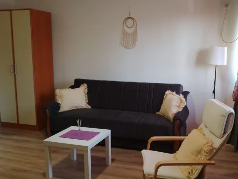Rent, apartment, 28m², Adice, Novi Sad Sve Podlokacije - image 8