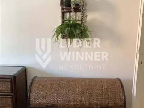 Izdavanje, dvosoban stan, 50m², Kalenić Pijaca, Vračar Sve Podlokacije - image 6