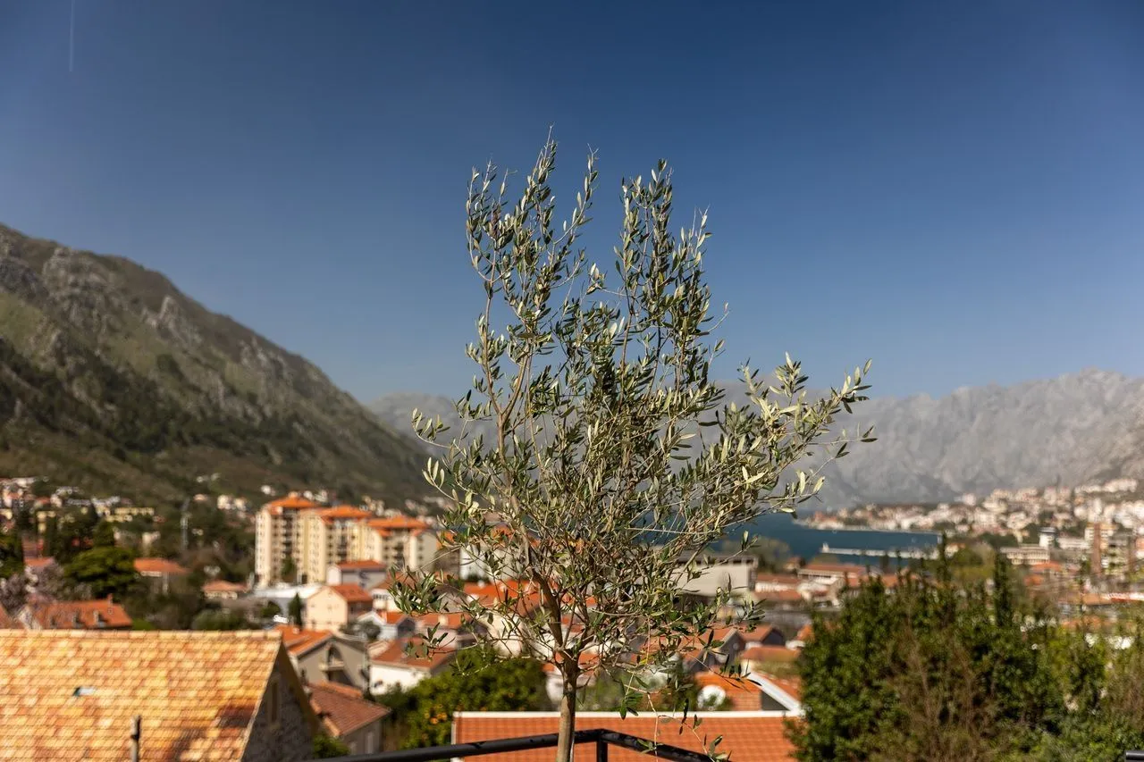 Prodaja, kuća, 160m², Škaljari, Kotor