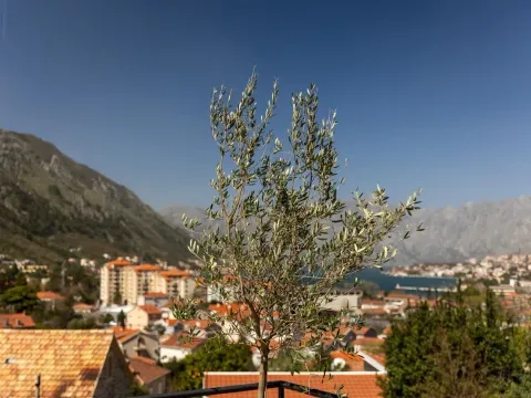 Prodaja, kuća, 160m², Škaljari, Kotor - image 43