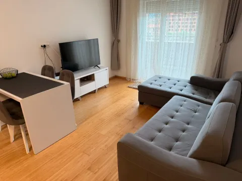 Rent, one bedroom apartment, 45m², Ilino, Bar - image 11