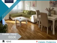 Rent, one bedroom apartment, 42m², Zabjelo, Podgorica - image 1