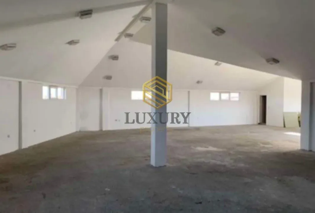 Izdavanje, poslovni prostor, 350m², Golubovci, Podgorica