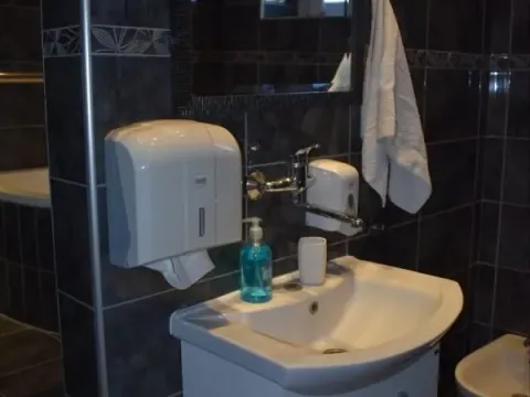 Izdavanje, kuća, 300m², Petrovaradin, Novi Sad - image 17