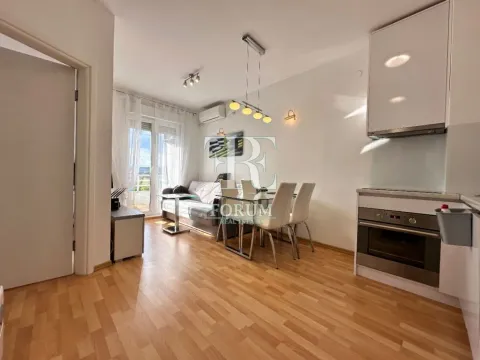 Izdavanje, jednosoban stan, 40m², Stari Aerodrom, Podgorica - image 2