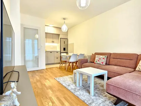 Rent, one bedroom apartment, 40m², Pobrežje, Podgorica - image 3