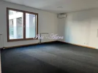 Izdavanje, poslovni prostor, 53m², Novi Beograd Blok 65, Novi Beograd Sve Podlokacije - image 1