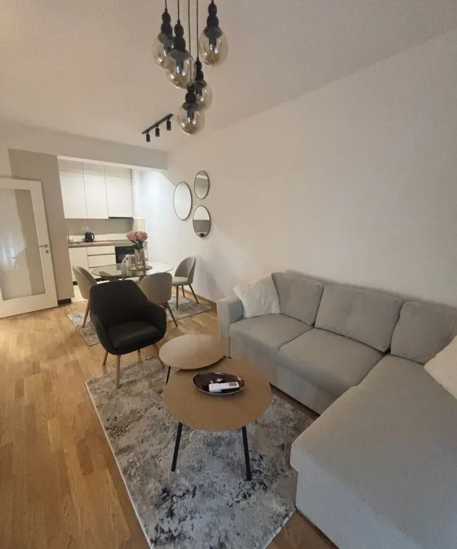 Izdavanje, jednosoban stan, 45m², Zabjelo, Podgorica