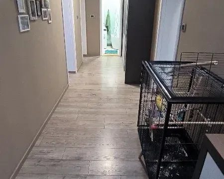 Prodaja, kuća, 107m², Pecinci, Srbija - image 9