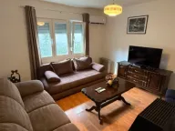 Izdavanje, jednosoban stan, 55m², Centar, Cetinje - image 2