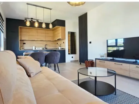 Izdavanje, jednosoban stan, 53m², Krivi Most, Podgorica - image 8