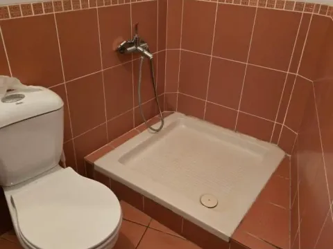 Rent, house, 250m², Sajmište, Novi Sad - image 44