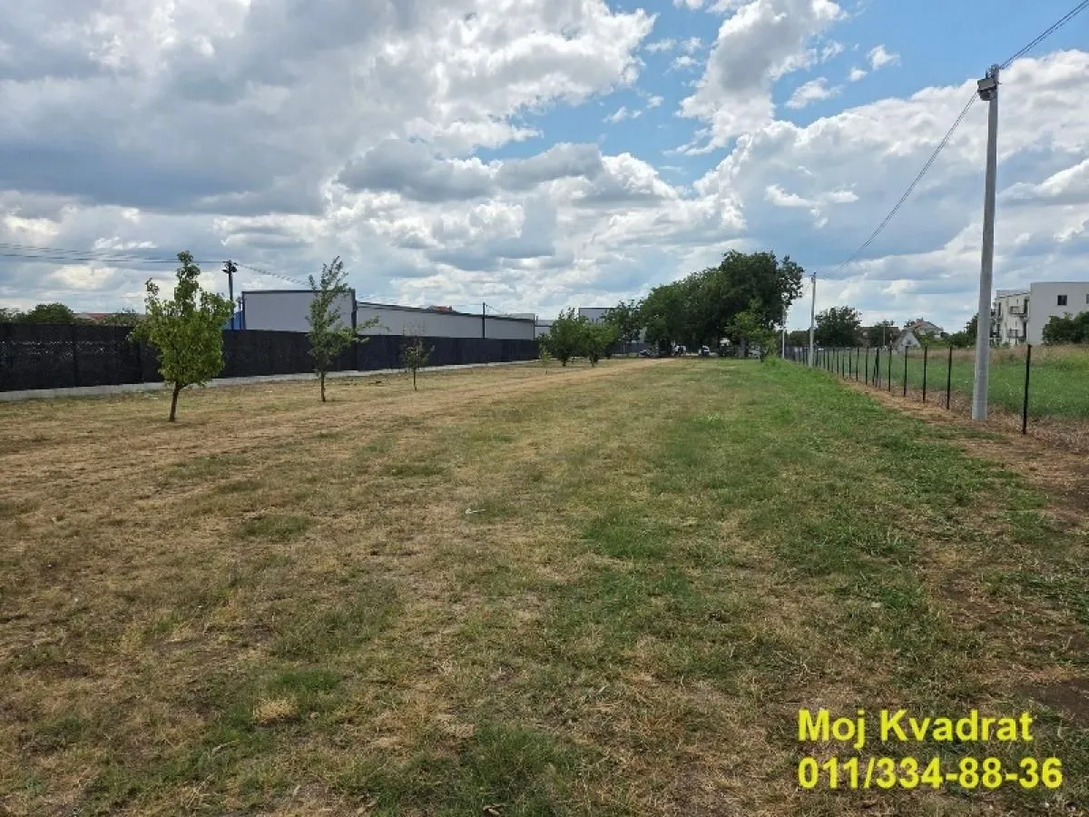Izdavanje, plac, 2500m², Surčin, Beograd