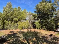 Prodaja, kuća, 59m², Čortanovci, Inđija - image 4