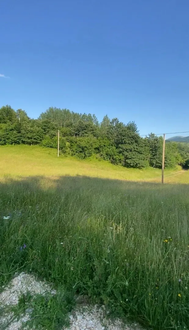 Zelena livada sa drvećem i električnim stubovima.