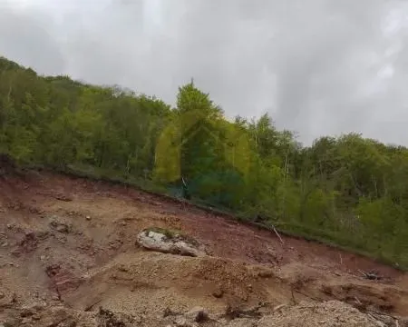 Prodaja, plac, 144000m², Kolašin, Crna Gora - image 4