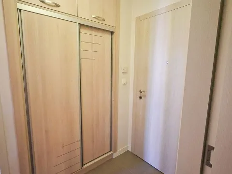 Izdavanje, jednosoban stan, 40m², Pobrežje, Podgorica - image 9