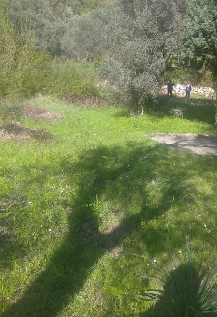 Prodaja, plac, 518m², Budva, Crna Gora