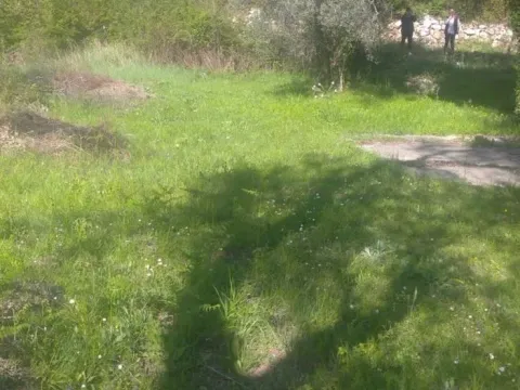 Prodaja, plac, 518m², Budva, Crna Gora - image 4