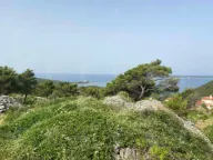 Prodaja, plac, 3219m², Luštica Bay, Tivat - image 5