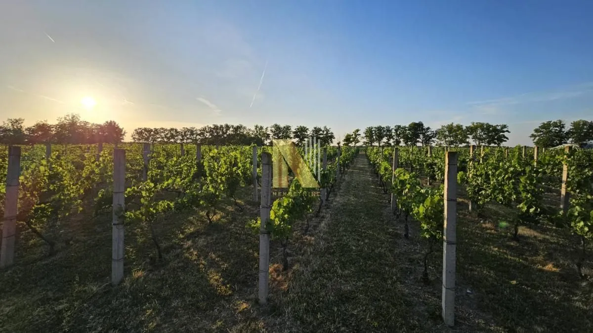 Prodaja, kuća, 230m², Srbobran, Novi Sad
