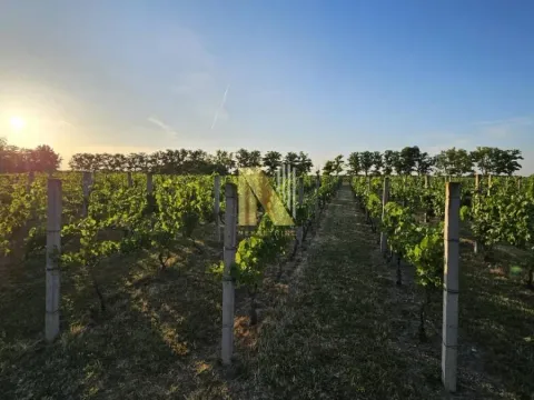 Sale, house, 230m², Srbobran, Novi Sad - image 60