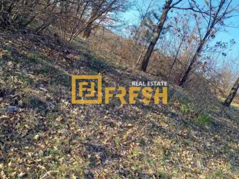 Prodaja, kuća, 420m², Nikšić, Crna Gora - image 3