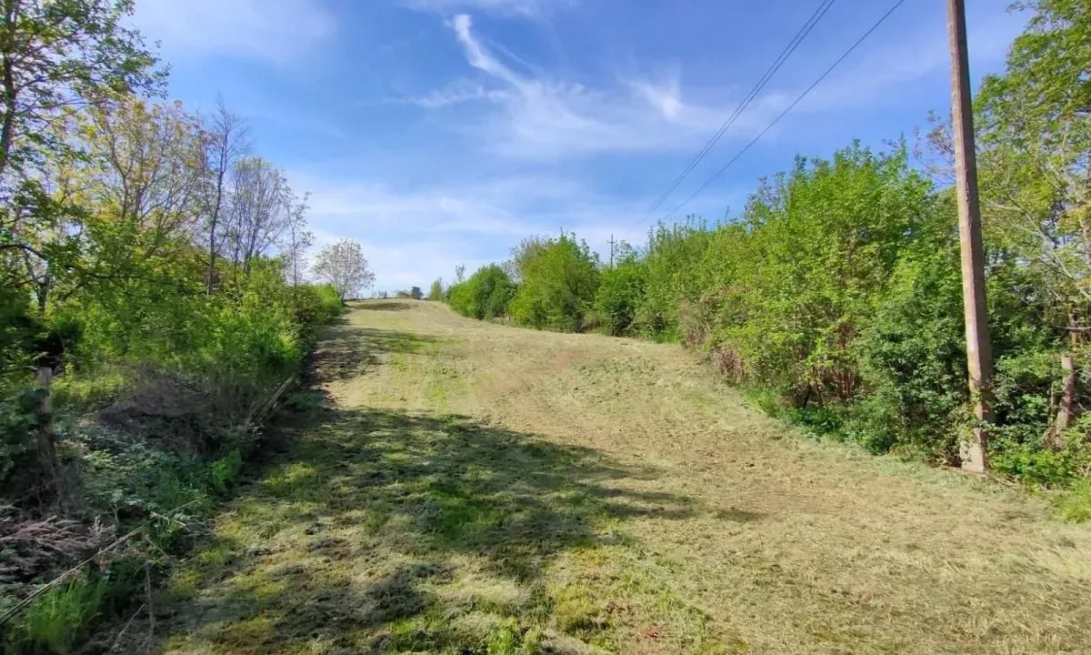 Sale, land lot, 3700m², Beočin, Srbija