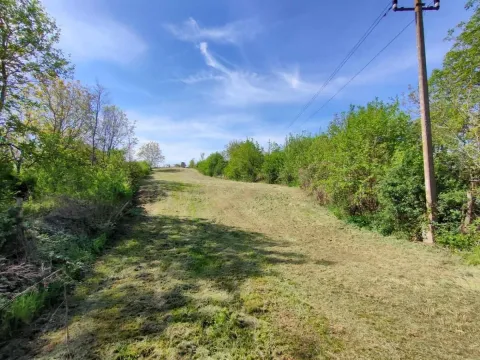 Prodaja, plac, 3700m², Beočin, Srbija - image 1