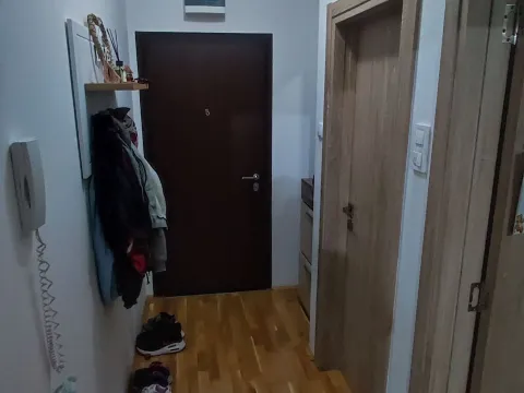 Sale, one bedroom apartment, 50m², Ljubović, Podgorica - image 4