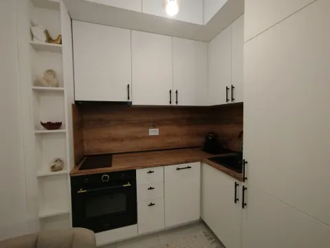 Izdavanje, stan, 40m², Zabjelo, Podgorica - image 4