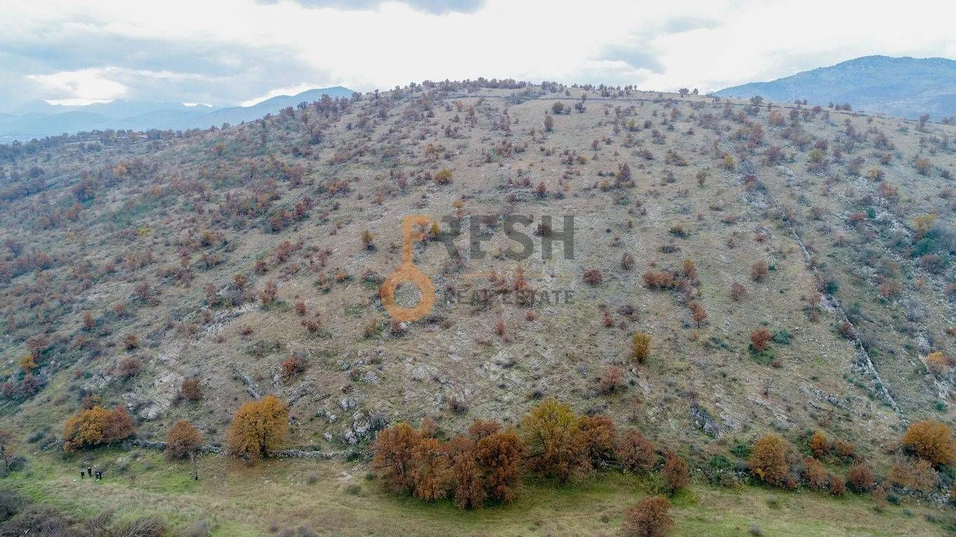 Prodaja, plac, 10000m², Ostalo, Podgorica